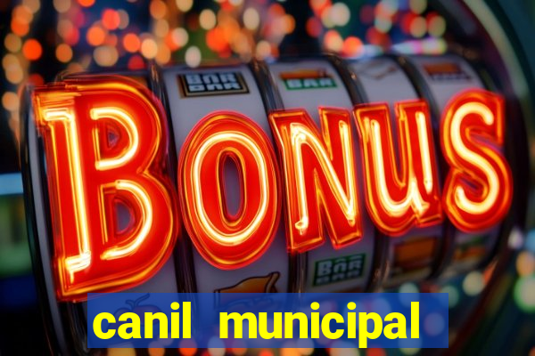 canil municipal porto alegre